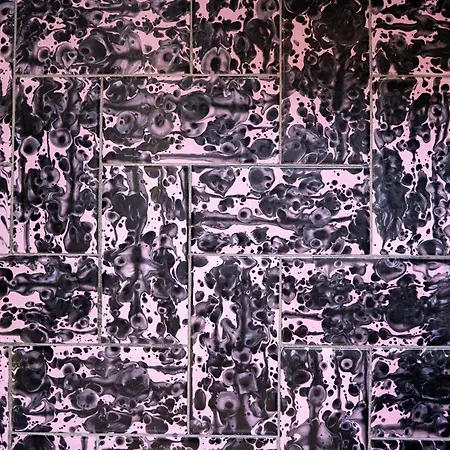 Ballerina Bianca Oda ve Kahvaltı