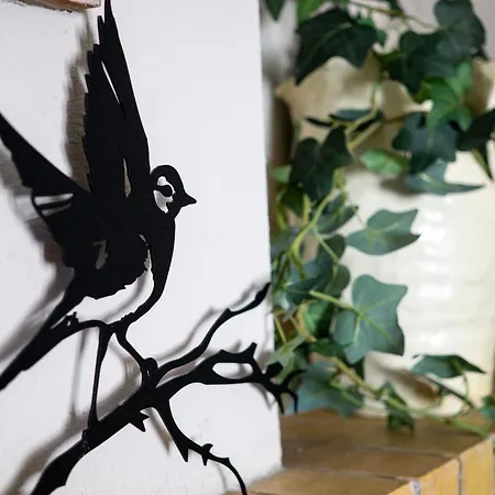 Frühstückspension Ballerina Bianca Grottazzolina